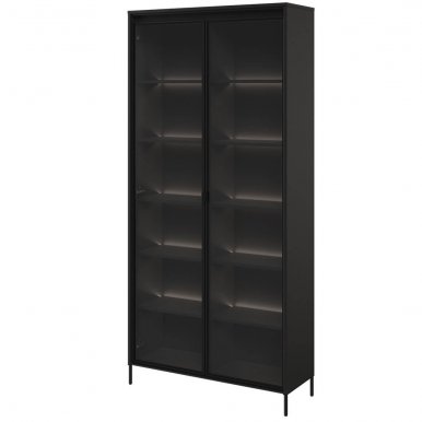TREND TR-07 Glass-fronted cabinet Black