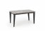 FELIX Dining table (extendable) gray marble / black