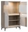 Aston-AN 04 Glass-fronted cabinet