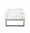 BLANCA Coffee table white marble/black