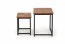 ELZA set of 2 coffee tables, walnut/black